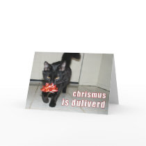 lolcat Christmas Card