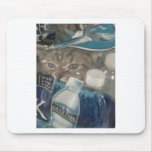 lolcat mousepads