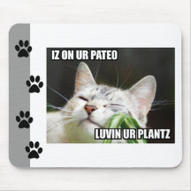 LOLCat Sassy Mousepad