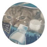 lolcat stickers