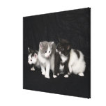 London, England, UK 6 Stretched Canvas Prints