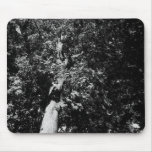London Plane Tree B&W mousepads