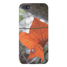 Lone Autumn Leaf in the Sunlight, iPhone5 iPhone 5 Case