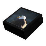 Lone Bald Eagle; No Greeting Trinket Box