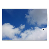 Lone bird. cards