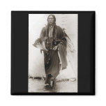 Lone Comanche magnets