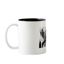 Lone Desert Coyote, D.B. Martin  2005 Mugs