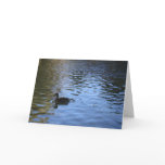 Lone Duck Note Card - Blank Inside