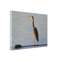 Lone Heron