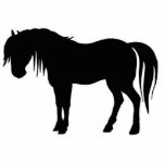 Lone Horse Photo Cutouts