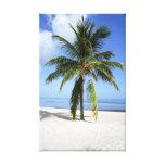 Lone Palm Stretched Canvas Print