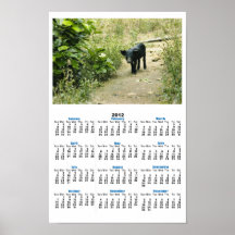 Lone Pig Poster Calendar