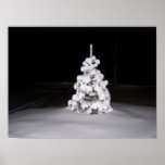 Lone Pine Poster