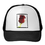 Lone Rose Baseball Hat