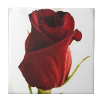 Lone Rose  Tile tiles