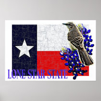 LONE STAR STATE Poster