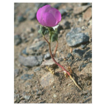 Lone Survivor Personalised Flyer