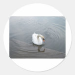 Lone Swan Round Sticker