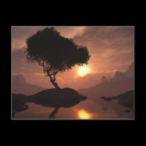 Lone Tree Postcard