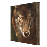 Lone wolf canvas print