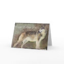 Lone Wolf-FD cards