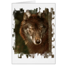 Lone wolf greeting card