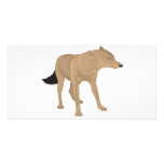 Lone Wolf -Mystery Canine! photo cards