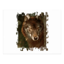 Lone wolf postcard