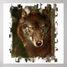 Lone Wolf Poster