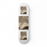 Lone Wolf skateboards