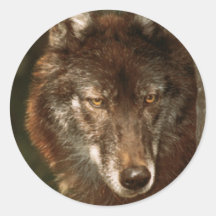 Lone wolf sticker
