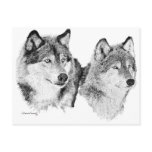 Lone Wolves postcards