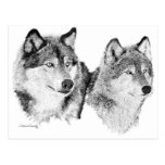 Lone Wolves Postcard