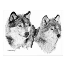 Lone Wolves Postcard