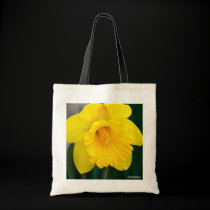 Lone Yellow Daffodil bags