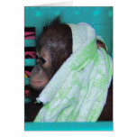 Lonely Baby Orangutan cards