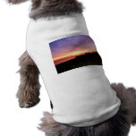 Lonely Beach at Sunrise Norfolk VA pet clothing