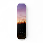Lonely Beach at Sunrise Norfolk VA skateboards