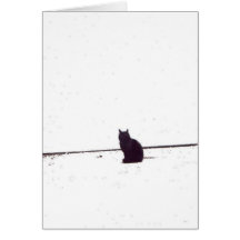 Lonely Cat Cards