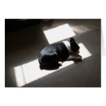 Lonely Days Greeting Card