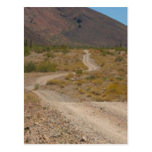 Lonely Desert Road 01 Post Cards
