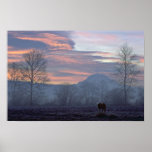 Lonely Horse Grazing Poster