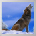 Lonely Howling Endangered Grey Wolf posters