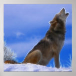 Lonely Howling Endangered Grey Wolf posters