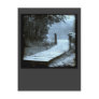 Lonely Lake. Post Card