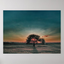 Lonely pear tree posters