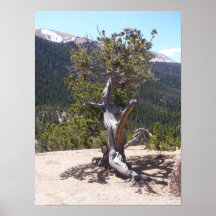 Lonely Print
