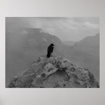 Lonely Raven Posters