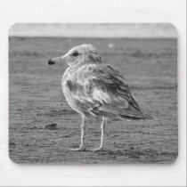 Lonely Seagull (b&w) Mousepad mousepads