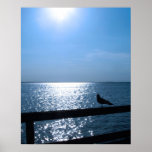 Lonely Seagull Posters